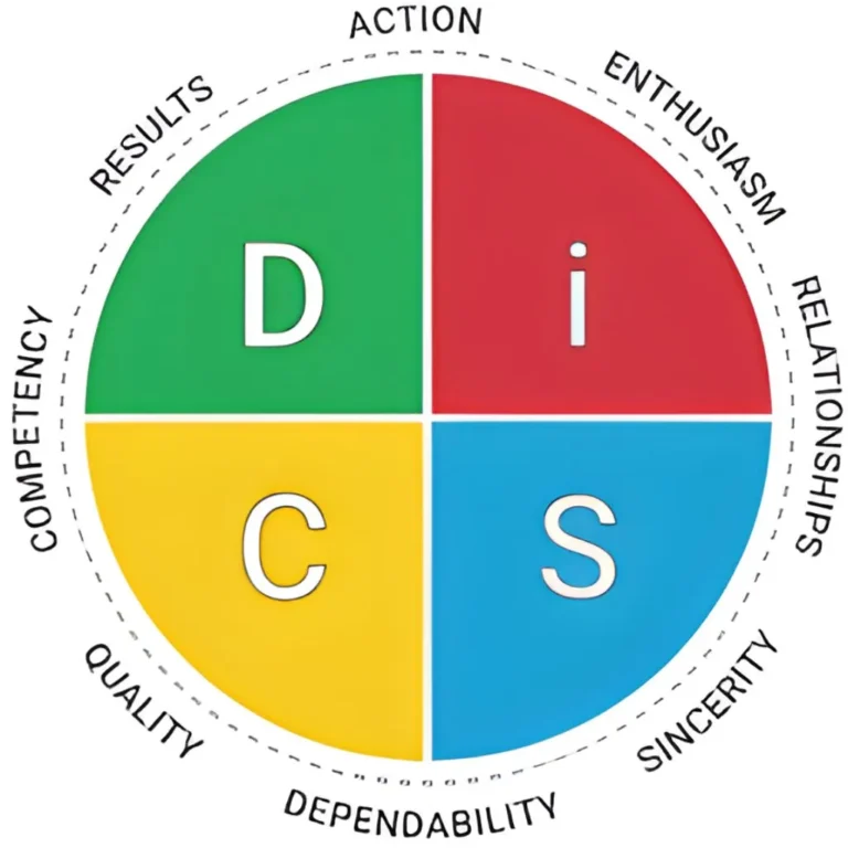 Disc assessment